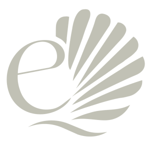 Evoka logo print